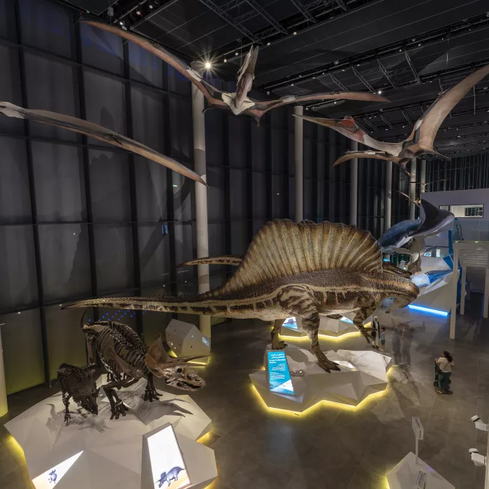 HIMACS prend part à l’ambitieux projet des musées du nouveau centre culturel du Koweït